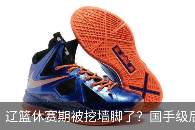 辽篮休赛期被挖墙脚了？国手级后卫恐被交易：变相逼着赵继伟走人